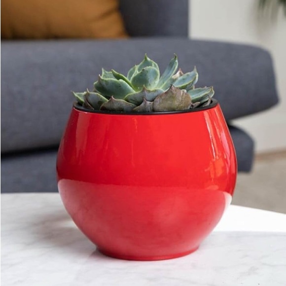 Sold - Picture 2 of 6